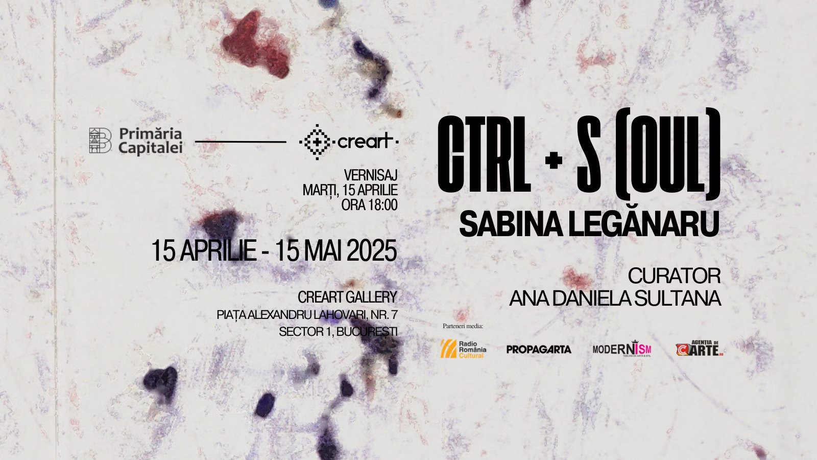 Sabina Leganaru_Creart